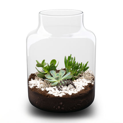 Milky Succulent - Open terrarium - Bottle garden DIY kit - Ø 21 cm ↑ 30 cm
