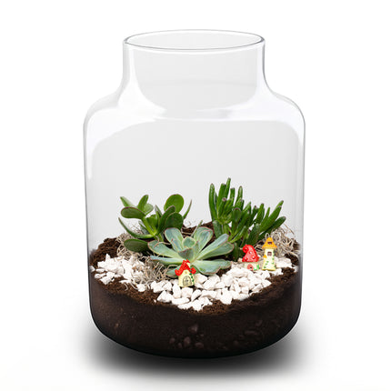 Milky Succulent - Open terrarium - Bottle garden DIY kit - Ø 21 cm ↑ 30 cm