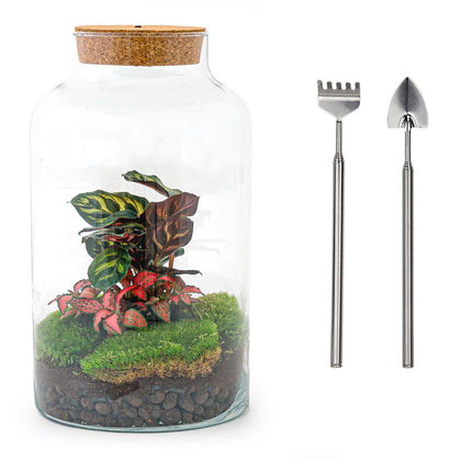 Terrarium DIY Kit - Milky Calathea with Light - Bottle Garden - ↑ 31 cm