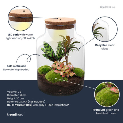 Milky Palm - Flaschengarten mit Licht - DIY Terrarium mit Pflanzen im Glas - Ø 21 cm ↑ 30 cm