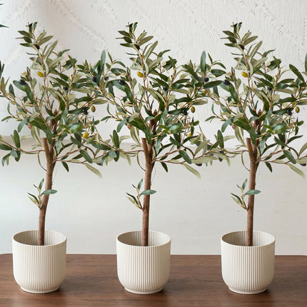 Mini Olivenbaum Set - 3 Stück - Bündelprodukt - Kunstpflanzen