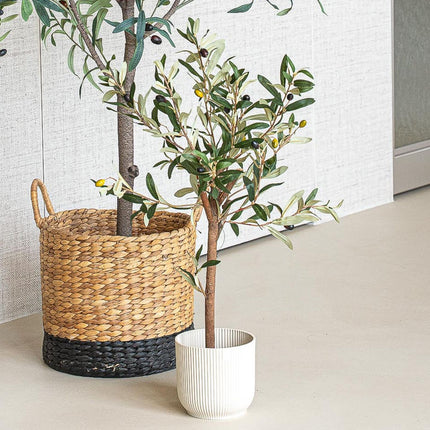 Mini Olivenbaum Set - 3 Stück - Bündelprodukt - Kunstpflanzen