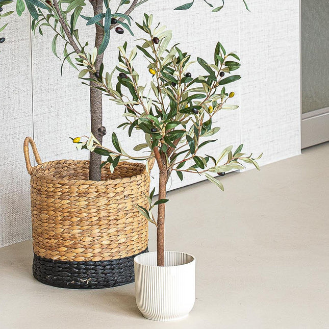 Mini Olive tree set - 3 pcs - Bundle product - Artificial plants