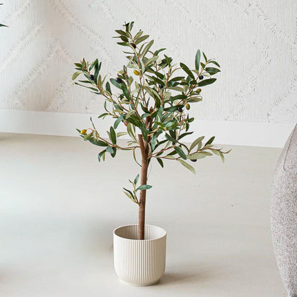 Mini Olivenbaum Set - 3 Stück - Bündelprodukt - Kunstpflanzen