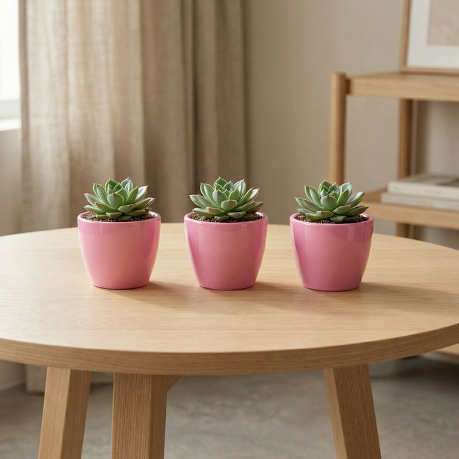 Pretty in Pink - Mini Blumentopf - Boule Topf Rosa - Ø 6 cm ↑ 6 cm