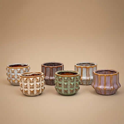 Pflanzen set von 6 mit topf set San Juan - pflanzen mix - Ø 6 cm