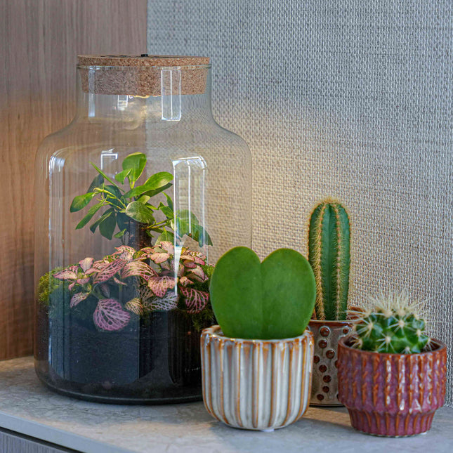 'LOVE MOM' Terrarium Little Milky + gravierter Kork mit Licht - Flaschengarten DIY Set - Ø 17 cm ↑ 25 cm - Muttertag