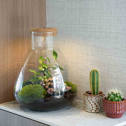 'LOVE MOM' Terrarium Sam + gravierter Kork mit Licht - Flaschengarten DIY Set - Ø 24.5 cm ↑ 30 cm - Muttertag