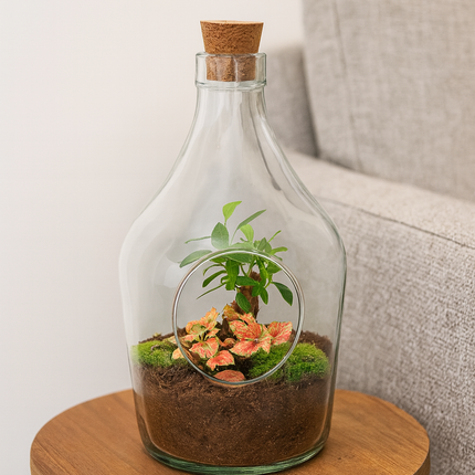 Offenes Terrarium John – Bonsai & Ruby Lime ↑ 30 cm