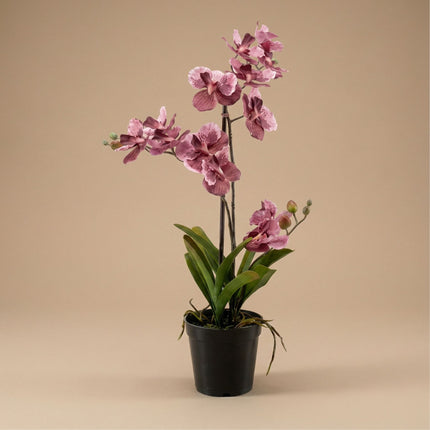 Artificial Orchid Vanda 60 cm - Old pink in pot - Artificial plant