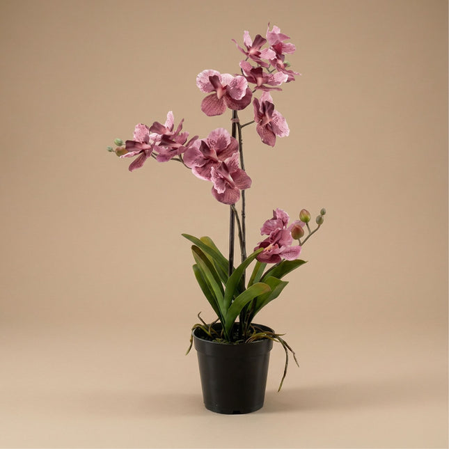 Orchidee Vanda Kunstpflanze 60 cm – Altrosa – Im Topf