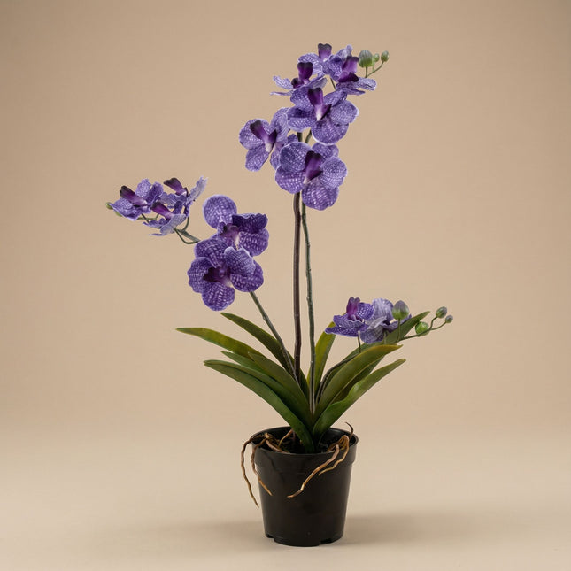 Orchidee Vanda Kunstpflanze 60 cm – Lila – Im Topf