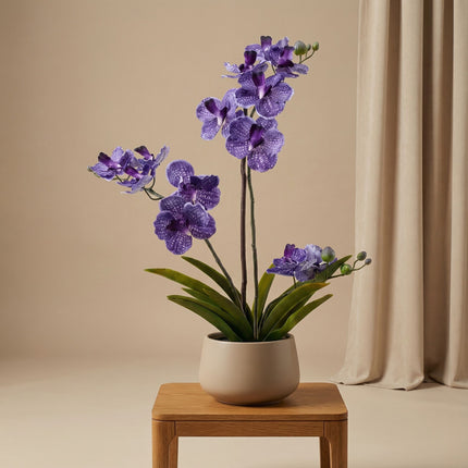 Orchidee Vanda Kunstpflanze 60 cm – Lila – Im Topf