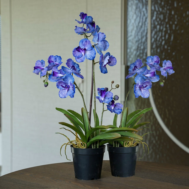 Orchidee Vanda lila 2 Stück - Bündelprodukt - Kunstpflanzen