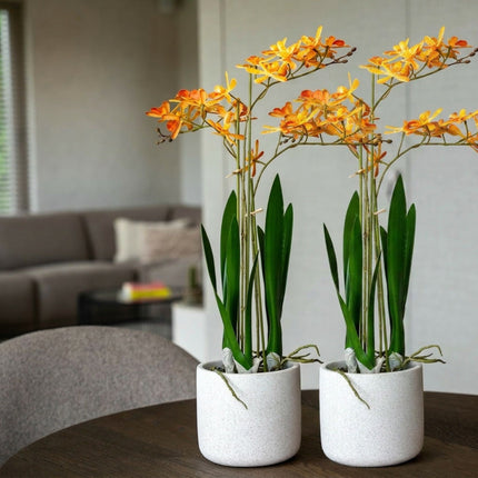 Renantera Orchid yellow/orange 2 pcs - Bundle product - Artificial plants