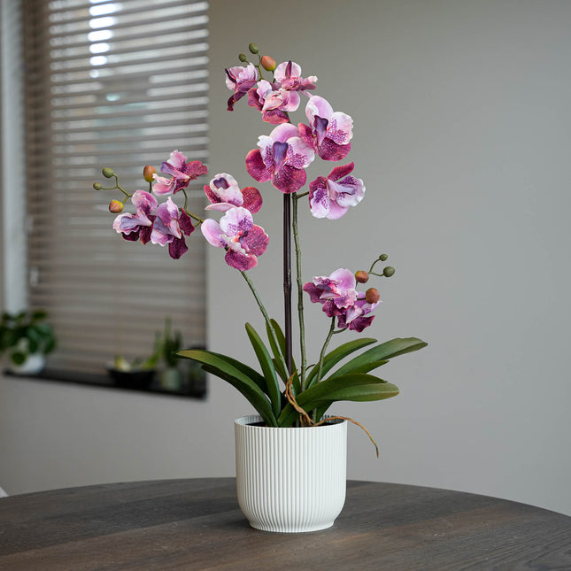 Orchid Vanda pink 2pcs - Bundle product - Artificial plants