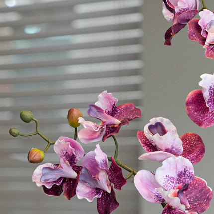 Orchidee Vanda rosa 2er-Set - Bündelprodukt - Kunstpflanzen
