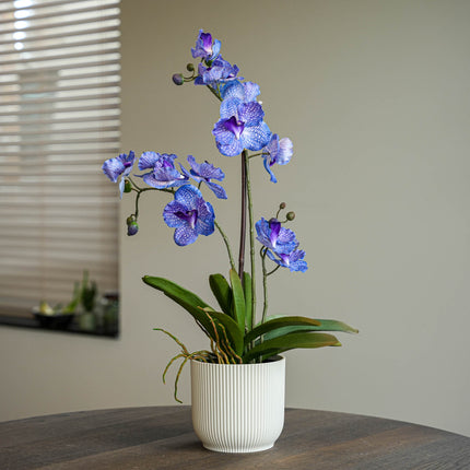 Orchidee Vanda lila 2er-Set - Bündelprodukt - Kunstpflanzen
