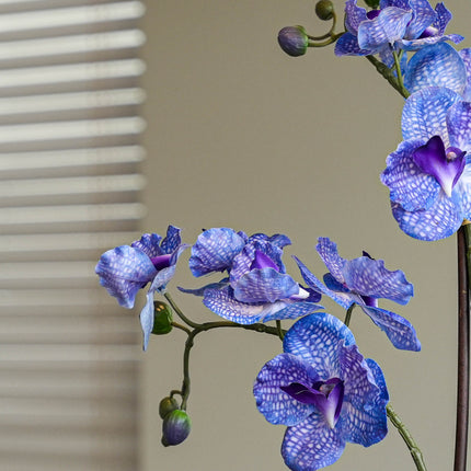 Orchidee Vanda lila 2er-Set - Bündelprodukt - Kunstpflanzen
