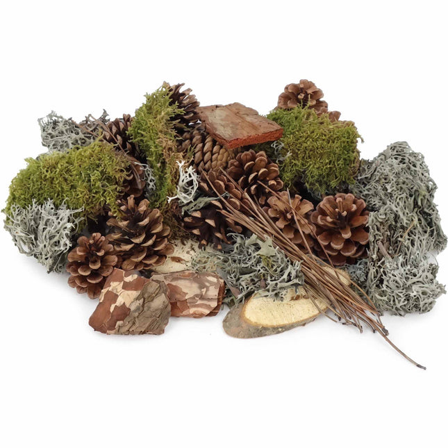 Forest mix with moss, pinecones, wood and bark for terrarium decoration