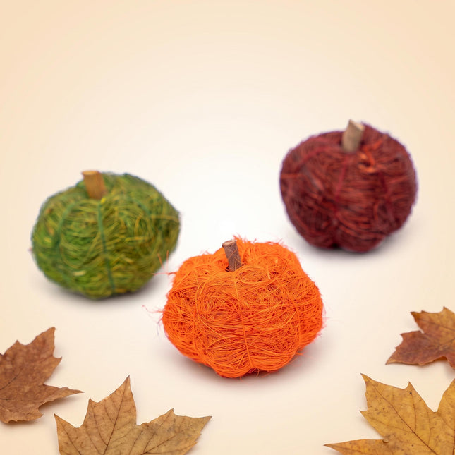 Three natural pumpkins in green, orange and dark red for terrarium decoration