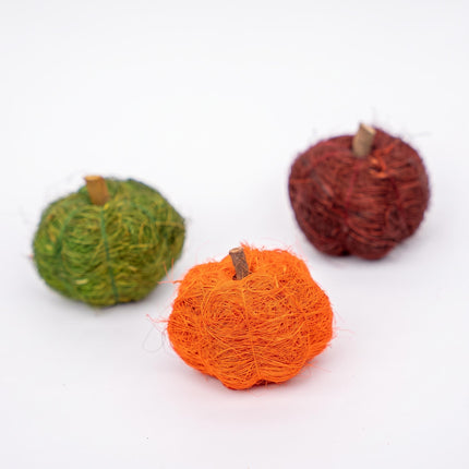 Three natural pumpkins in green, orange and dark red for terrarium decoration