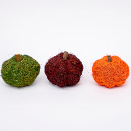 Three natural pumpkins in green, orange and dark red for terrarium decoration