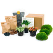 <tc>Pacchetto terrario vegetale Coffea Arabica - Pacchetto di ricarica e avviamento Kit di ricarica per terrario fai da te</tc>