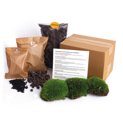 <tc>Paquet de terrarium pour plantes Coffea Arabica - Refill & Starter package Kit de recharge de terrarium DIY</tc>