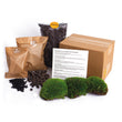 <tc>Pacchetto terrario vegetale Coffea Arabica - Pacchetto di ricarica e avviamento Kit di ricarica per terrario fai da te</tc>