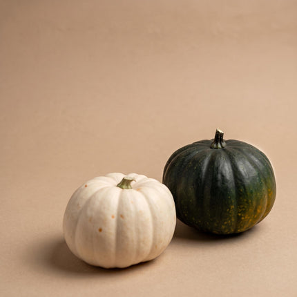 Kürbisset - Echt - Black Cat und White Halloween - 2 Stk. - Ø 12 cm