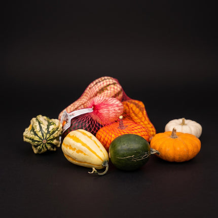 Deko Kürbisse Netzbeutel - Zierfrüchte - 5er Set - Ø 9 cm
