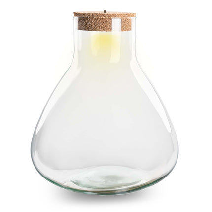 Terrarium mit Kork - Sam XL mit Lampe - Geschlossenes Terrarium ↑ 32 cm