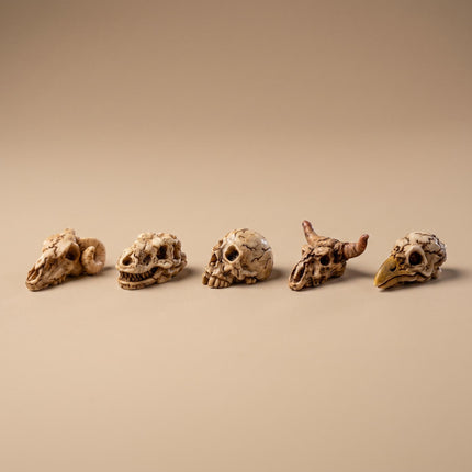 Mini Skull set - 5 Stk. - Miniaturfiguren ↔ 2 cm ↑ 1 cm