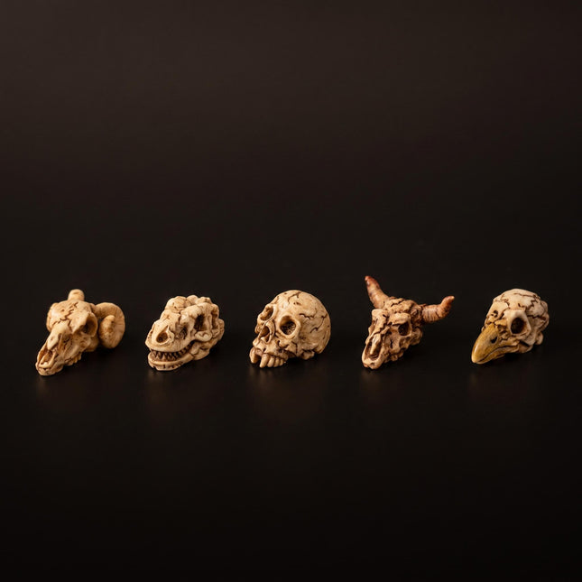 Mini Skull set - 5 pcs - Miniature figurines ↔ 2 cm ↑ 1 cm