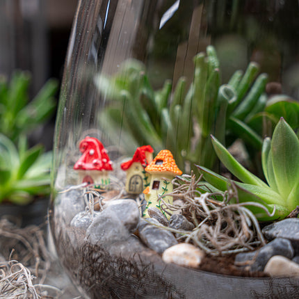 Emma Succulent - Offenes Terrarium - Flaschengarten DIY Kit - Ø 23 cm ↑ 25 cm