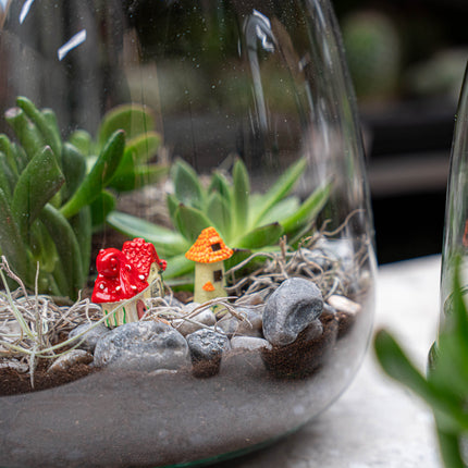 Emma Mini Succulent - Offenes Terrarium - Flaschengarten DIY Kit - Ø 19 cm ↑ 20 cm