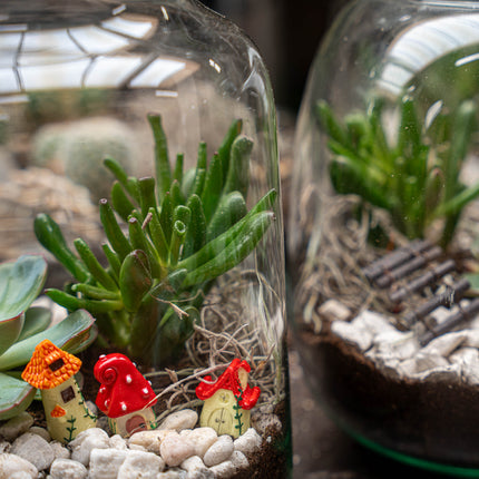 Egg XL Succulent - Offenes Terrarium - Flaschengarten DIY Kit - Ø 17,5 cm ↑ 30 cm