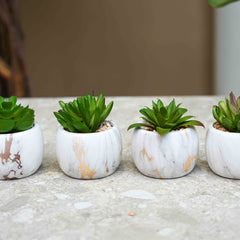 Artificial mini plants
