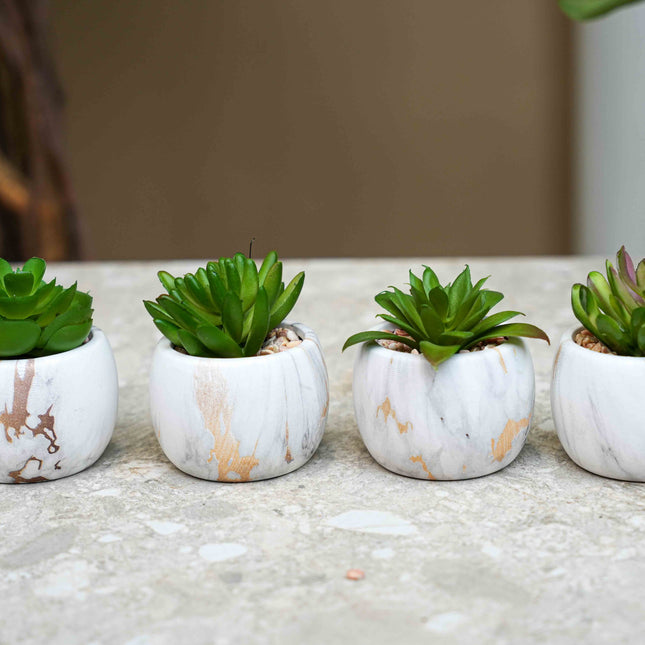 Künstliche Mini-Sukkulenten Mix in Marmortopf - Sukkulenten Mix Set 4 - ↑ 10 cm