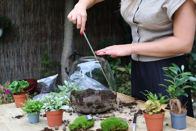 Create, grow & enjoy this summer
