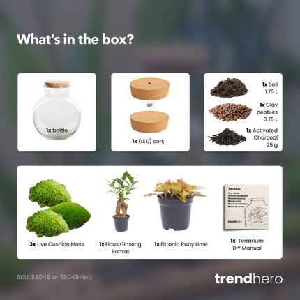 Teddy Bonsai - Flaschengarten mit Licht - DIY Terrarium mit Pflanzen im Glas - Ø 25 cm ↑ 26,5 cm
