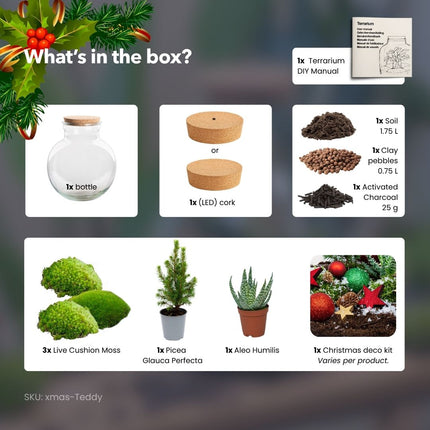 Jingle Weihnachts-Terrarium – DIY Flaschengarten – Ø 25 cm ↑ 26,5 cm