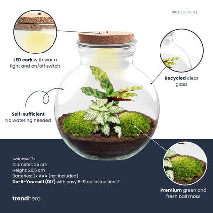 Teddy - Flaschengarten mit Licht - DIY Terrarium mit Pflanzen im Glas - Ø 25 cm ↑ 26,5 cm