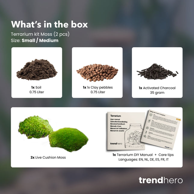 Pflanzenterrarium – Nachfüllset – Starterset – DIY – Größe S/M
