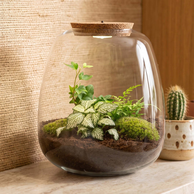 Emma - Hedera White - Flaschengarten mit Licht - DIY Terrarium mit Pflanzen im Glas - Ø 23 cm ↑ 25 cm