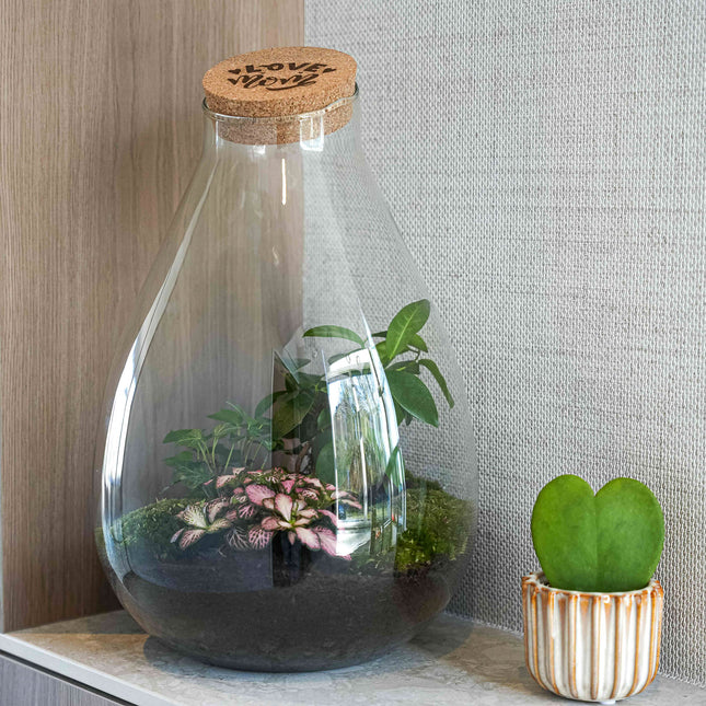 'LOVE MOM' terrarium Drop XL + Engraved cork - Bottle garden DIY kit – Ø 24 cm ↑ 37 cm - Mother’s Day