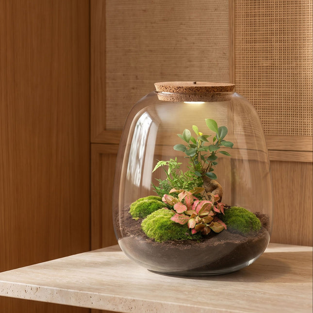 Planten terrarium emma - flaschengarten