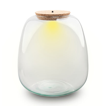 Terrarium Flasche ‘Emma’ - inkl. LED Korken - Geschlossenes Terrarium Ø 23 cm ↑ 25 cm