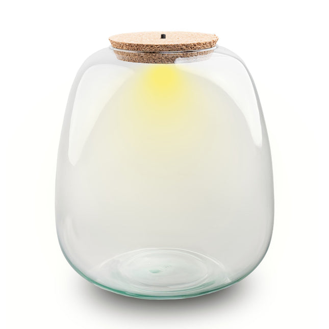 Terrarium Flasche ‘Emma’ - inkl. LED Korken - Geschlossenes Terrarium Ø 23 cm ↑ 25 cm
